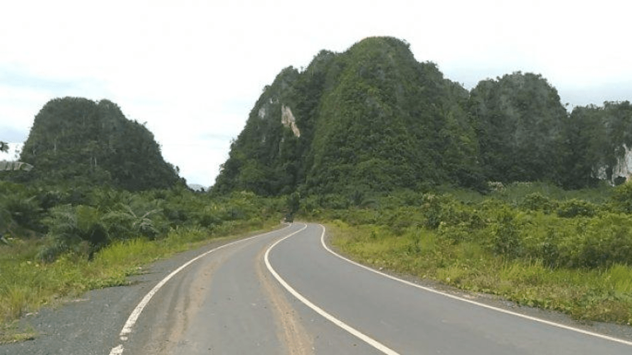 Cegah Alih Fungsi, Pemprov Kalsel Hijaukan Hutan Sepanjang 104 KM di Jalur Bebas Hambatan Banjarbaru-Batulicin