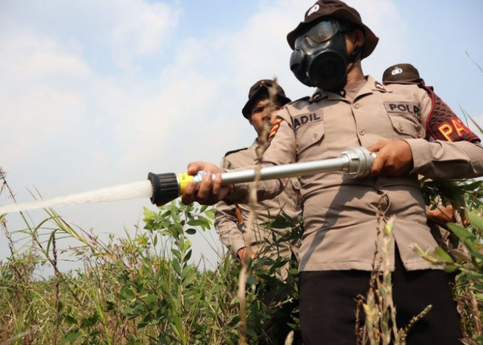 Karhutla di Belakang Ponpes Darul Ilmi Berhasil Dipadamkan, Polda Kalsel Kerahkan 10 Personel