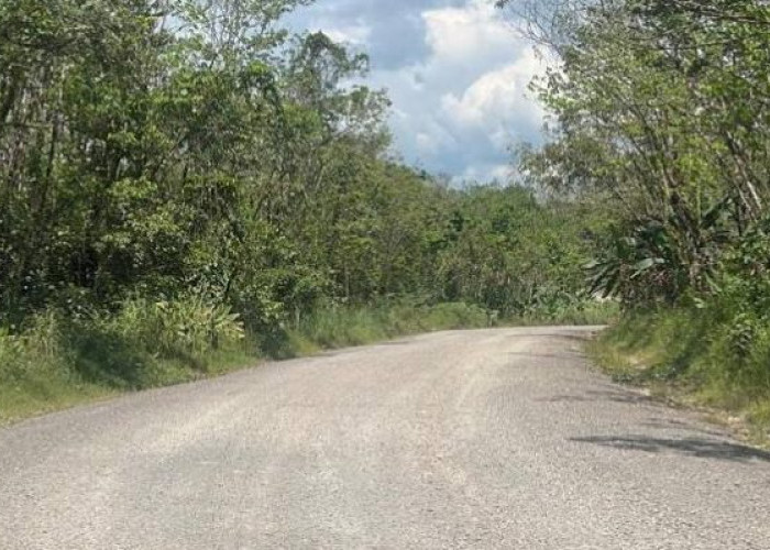 Pemprov Kalsel Matangkan Tahapan Jalan Lintas Tengah, Penlok Ditargetkan Terbit Oktober 2026