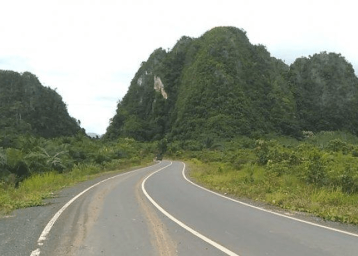 Cegah Alih Fungsi, Pemprov Kalsel Hijaukan Hutan Sepanjang 104 KM di Jalur Bebas Hambatan Banjarbaru-Batulicin