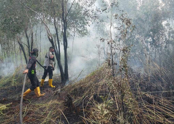 BPBD Kalsel Gerak Cepat Padamkan Karhutla di Wilayah Poslap Sambang Lihum, Libatkan Lintas Instansi dan Warga