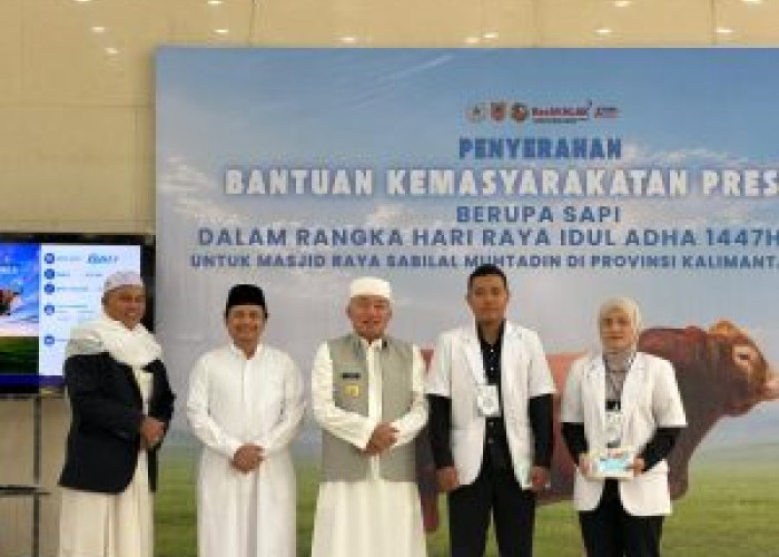 Gubernur Kalsel Serahkan Bantuan Kemasyarakatan Presiden RI : Satu Ekor Sapi ke Masjid Raya Sabilal Muhtadin