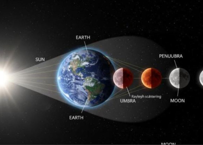 Langit Memerah Malam Ini, Gerhana Bulan Total 3 Februari 2026 Bisa Disaksikan Tanpa Alat Khusus