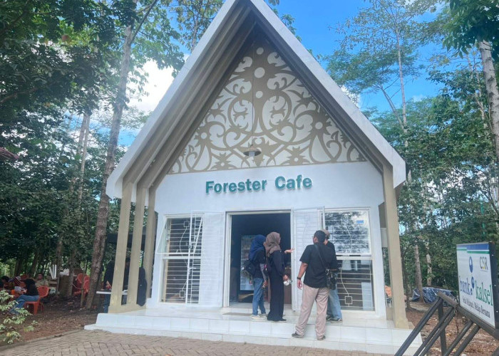 Pemprov Kalsel Resmikan Kafe Forester 3, Dorong Optimalisasi Aset dan Peningkatan PAD