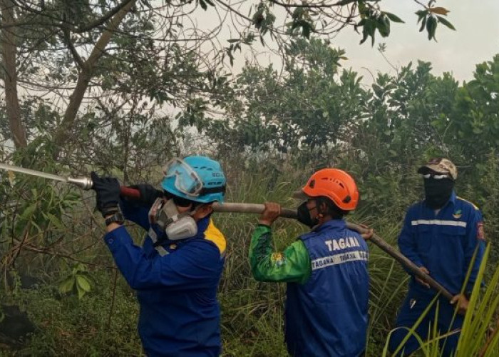 Presiden Prabowo Pimpin Penanganan Serentak Karhutla, Kalsel Siapkan Tim Gabungan