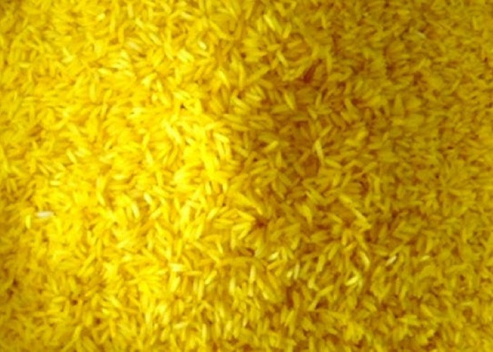 Baras Kuning, Tradisi Banjar sebagai Penangkal Bala yang Sarat Makna Spiritual