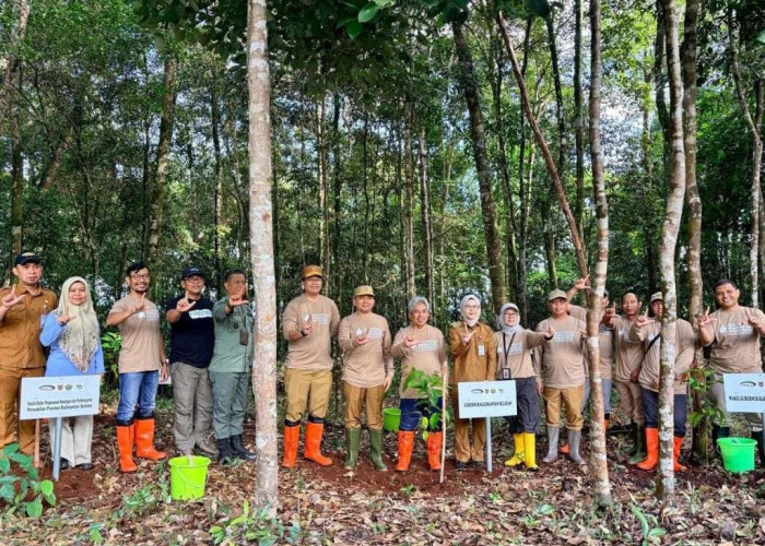 Pemprov Kalsel Dorong Gerakan Penghijauan pada Penanaman Pohon HUT ke-43 BPKP
