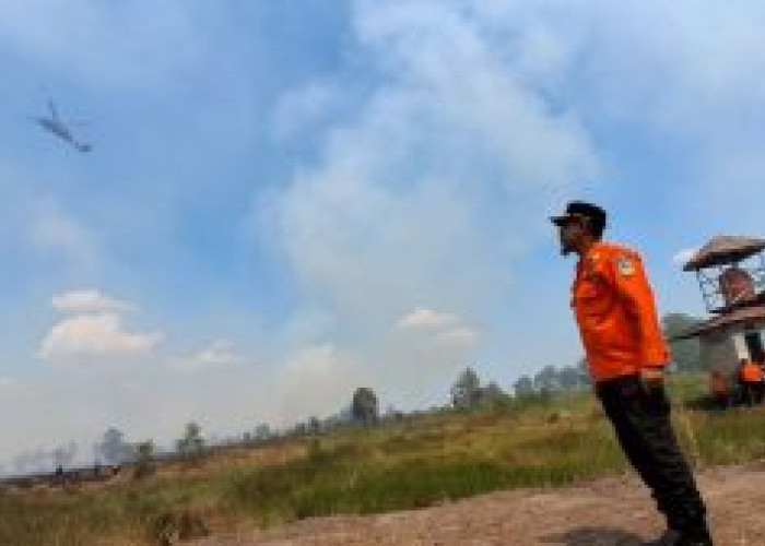BPBD Kalsel Kerahkan Satgas Gabungan dan Dua Helikopter Water Bombing Tangani Karhutla di Pengayuan