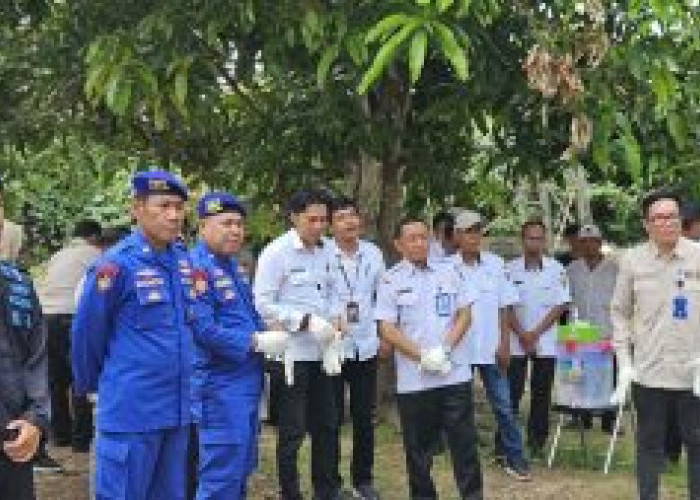 Pemprov Kalsel Berkomitmen Jaga Kelestarian Penyu Laut