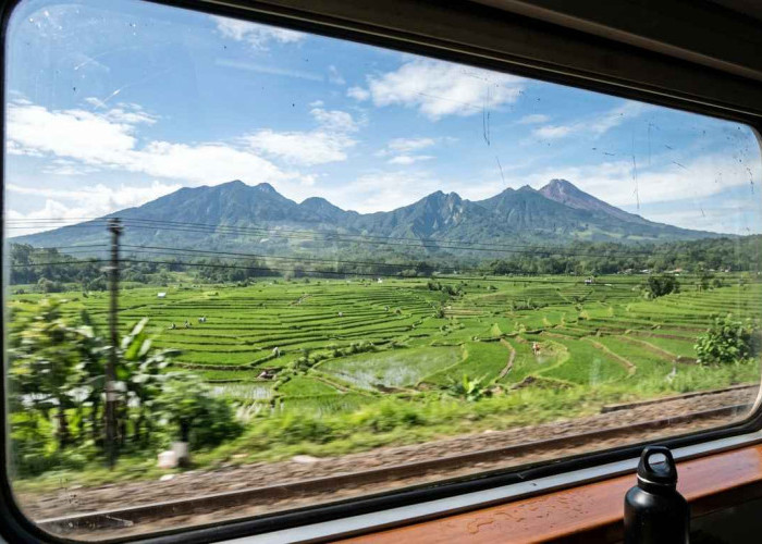 Panduan Slow Travel dengan Kereta Api: Nikmati Perjalanan, Bukan Sekadar Destinasi