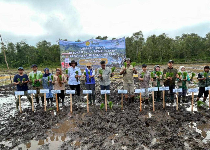 Gerakan Tanam Padi di Sungai Tabuk, DPKP Kalsel Dukung Percepatan Swasembada Pangan