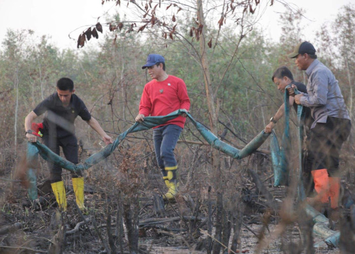 ESDM Kalsel Percepat Pembasahan 122 Hektare Lahan Gambut di Guntung Damar