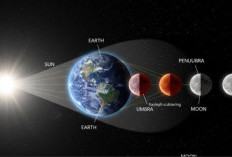Langit Memerah Malam Ini, Gerhana Bulan Total 3 Februari 2026 Bisa Disaksikan Tanpa Alat Khusus