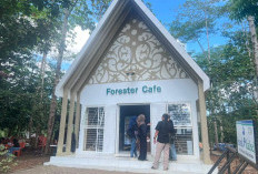 Pemprov Kalsel Resmikan Kafe Forester 3, Dorong Optimalisasi Aset dan Peningkatan PAD