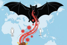 Lebih Mematikan dari Flu Biasa: Mengenal Virus Nipah, Sang Silent Killer yang Menular dari Kelelawar