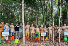 Pemprov Kalsel Dorong Gerakan Penghijauan pada Penanaman Pohon HUT ke-43 BPKP