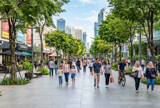Mengapa Kota yang Ramah Pejalan Kaki Adalah Kunci Kebahagiaan Masyarakat Modern?
